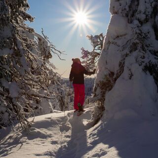 Schneeschuhwanderer auf der Route Konttainen in Kuusamo