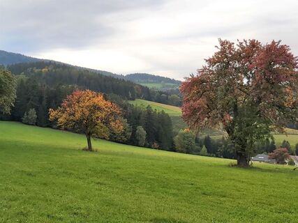 Herbstlandschaft in Vorau_Oststeiermark