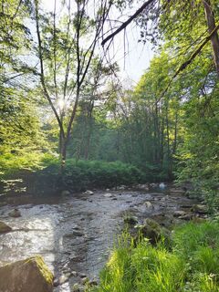 Fotografia z ReginaSt na trase