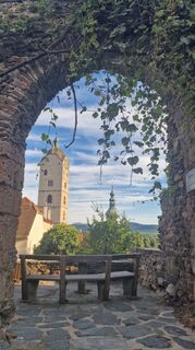 Fotografia z Michael D na trase