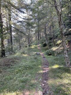 Zdjęcie z Robert Rettig wzdłuż trasy