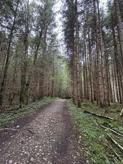 Foto de Denise Miller a lo largo del recorrido