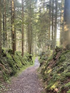 Foto von Dirk van Helmond entlang der Tour