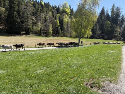 Fotografija s spletne strani Astrid na poti