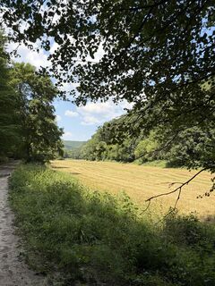 Fotografie z Máté Ádám Schultheisz na trase