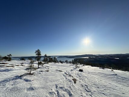 Foto von rollofritz entlang der Tour