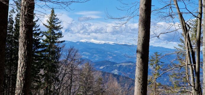 Foto de Utassy Tóth Johanna a lo largo del recorrido