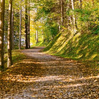 Weg zum Wildschloss