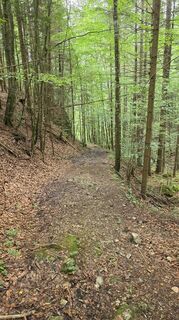 Foto von Annesimmat entlang der Tour