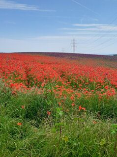 Fotografie z Johanna Bachlechner na trase