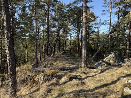 Photo de Norbert Herbig le long du parcours
