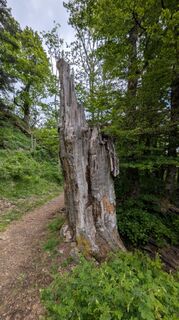 Zdjęcie z Richard Schwald wzdłuż trasy