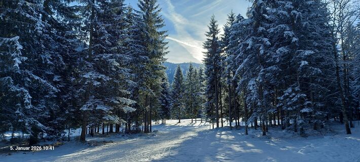 Fotografija s spletne strani Ballu na poti