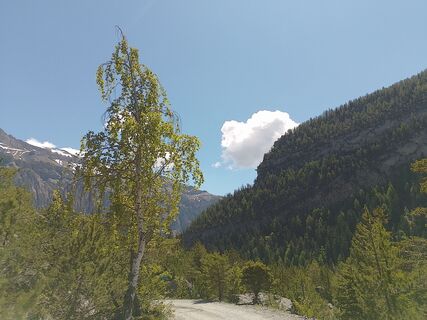 Zdjęcie z Jean-Pierre Sion wzdłuż trasy