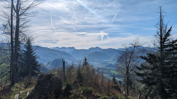 Foto de Klaus Lehner a lo largo del recorrido