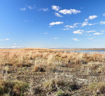 Nationalpark Neusiedler See - Seewinkel