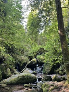 Photo de Ralf Umminger le long du parcours