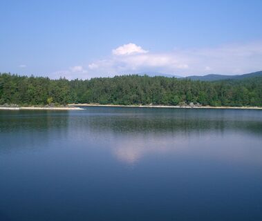 Forstsee