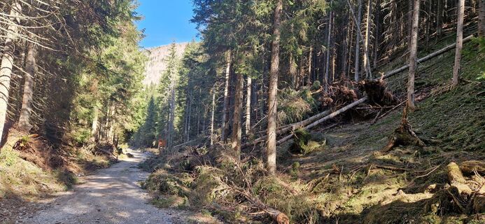 Foto von Utassy Tóth Johanna entlang der Tour
