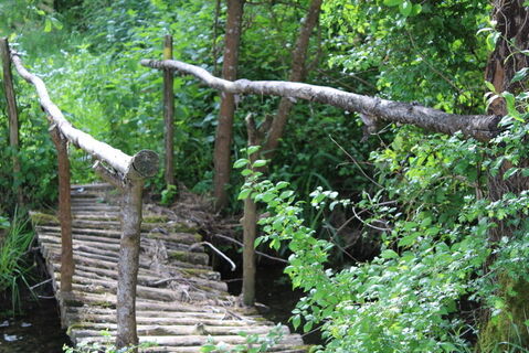 Petit pont