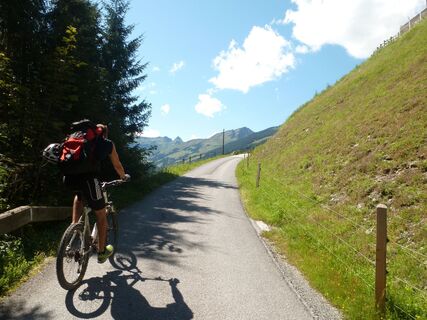 Auffahrt zur Roßwaldhütte: Zunächst auf Asphalt