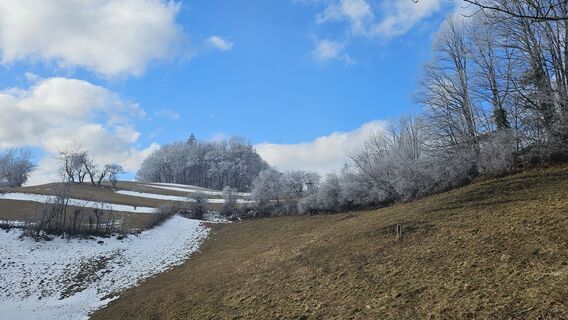 Фото с сайта Alexandra Stani во время экскурсии