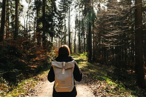 Rund um Goldbach – Der Rundweg führt durch den Wald