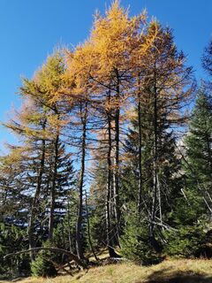 Foto von En Rico entlang der Tour