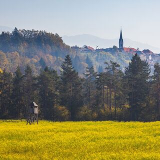 Blick auf Radovljica (Der Drei-Brücken-Weg)
