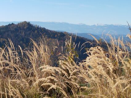 Foto de Stephane Cappellaro a lo largo del recorrido