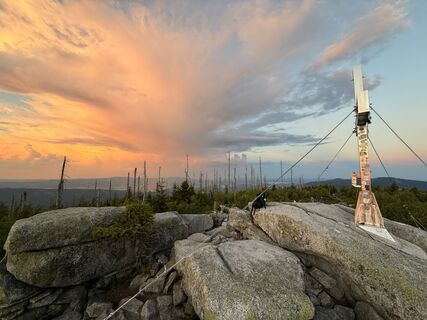 Fotografija s spletne strani Natur_erleben_dg na poti