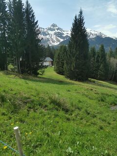 Fotografia z Waldläufer na trase