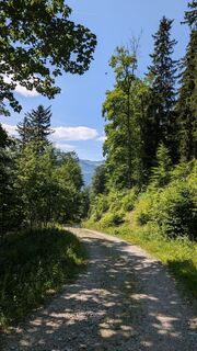 Foto von Martin Temm entlang der Tour