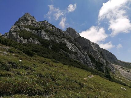 Fotografia z Dagmar Hofer na trase