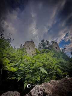 Fotografija s spletne strani Leo Fahrngruber na poti