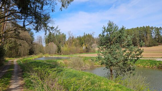 2.7 km Brühler Fischteiche