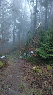 Foto von Fantom RoK entlang der Tour