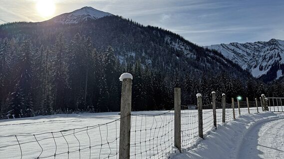 am Beginn der Winterwanderung ins Oberautal in Achenkirch, im Vordergrund die 2.053 Meter hohe Seekarspitze