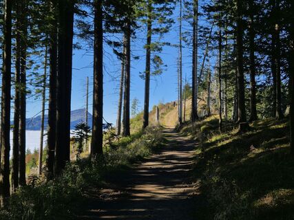 Photo de Markus Christen le long du parcours