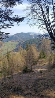 Fotografia z Bergpirat na trase
