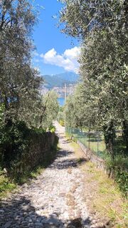 Photo de Inna Langer le long du parcours