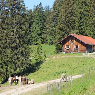 Alphütte Dinserhütte