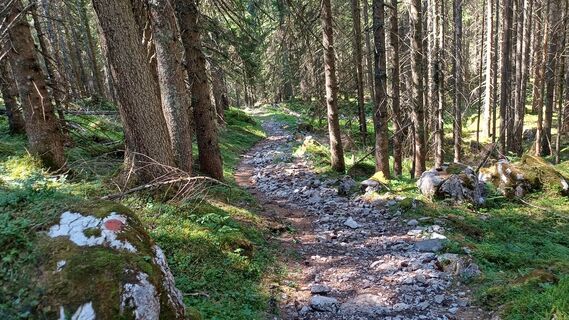 Photo de Christian L. le long du parcours