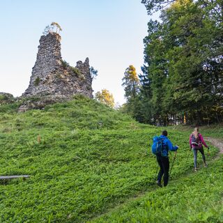 Die Ruinen der Burg Lipnica (Pusti grad)