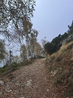 Foto fra Greg+Lisa undervejs på turen