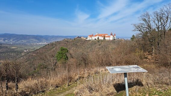 Fotografia z Frau Gramurli na trase