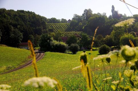 Landschaftlich sehr reizvoll