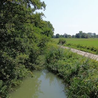 DJI_0942