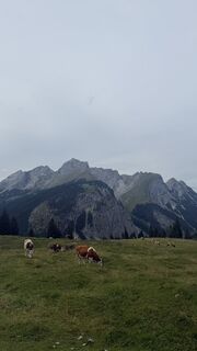 Foto von Wgueth entlang der Tour