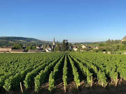 Fotografija s spletne strani Hans van der Meij na poti